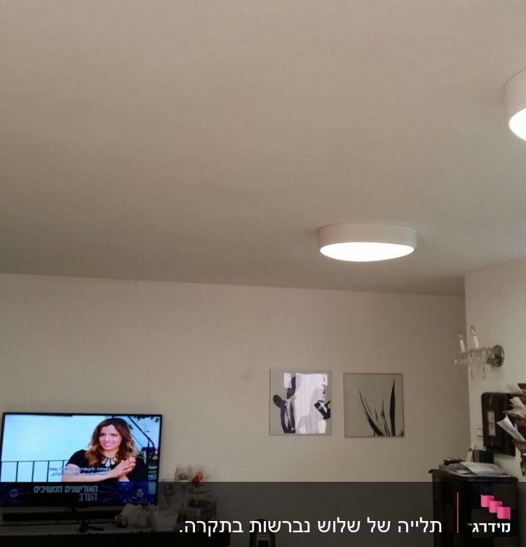 גופי תאורה עגולים מותקנים בתקרה